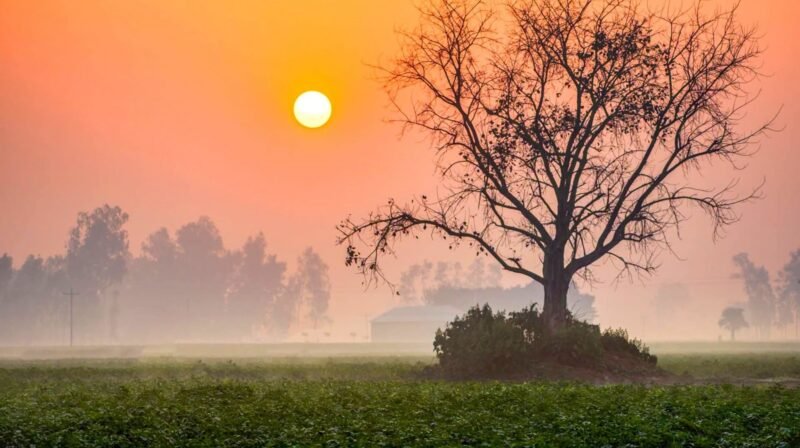 নভেম্বরের শুরুতেই শীত