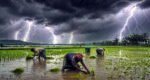 পাঁচ বছরে দুর্যোগে ২,৫৩৩ মৃত্যু, বজ্রপাতে ৬০ শতাংশ