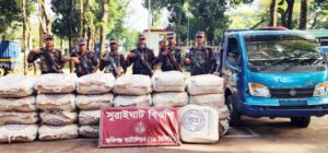 সীমান্তে ১৯ বিজিবির ৩৫ লাখ টাকার চোরাইপণ্য জব্দ