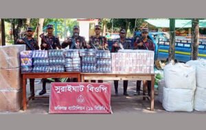 সীমান্তে সাড়ে ১৯ বিজিবির ২৩ লাখ টাকার চোরাইপণ্য জব্দ