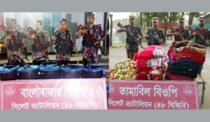 সিলেট সীমান্তে বিজিবির ২২ লাখ টাকার চোরাইপণ্য জব্দ