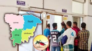 সিলেটে ডেঙ্গুতে আরেক মৃত্যু : শনাক্ত আরও ১৫