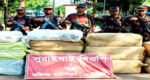 বিজিবির সাড়ে ৩৫ লাখ টাকার চোরাইপণ্য জব্দ
