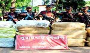 বিজিবির সাড়ে ৩৫ লাখ টাকার চোরাইপণ্য জব্দ