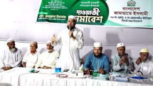বিএনপি সরকার দলীয়করণের ভাইরাসে আক্রান্ত : মু. ফখরুল ইসলাম