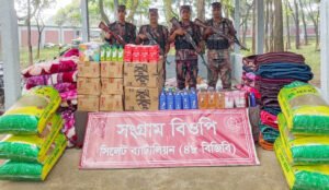 সীমান্তে বিজিবির ১৩ লাখ টাকার চোরাইপণ্য জব্দ