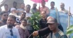 শান্তিগঞ্জের উত্তর গাজীনগরে বৃক্ষরোপণ কর্মসূচি শুরু
